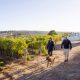 THW – Travis, Michael and Daisy in McLaren Vale